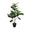 3ft. Potted Green Fiddle Leaf Fig Tree by Ashland®